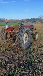 1964 Steyr 188 oldtimer tractor te koop