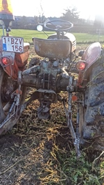 1964 Steyr 188 oldtimer tractor te koop