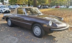 1981 Alfa Romeo Spider 2000 Veloce series 2 oldtimer te koop