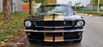 1965 Ford Mustang GT350H oldtimer te koop