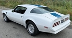1977 Pontiac Firebird oldtimer te koop