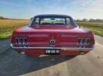 1967 Ford Mustang 302 V8 oldtimer te koop