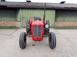 1959 Massey Ferguson MF35 (FE35) oldtimer tractor te koop