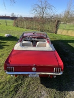 1966 Ford Mustang oldtimer te koop