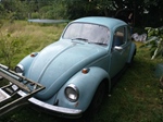 1967 Volkswagen Kever oldtimer te koop
