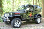 1992 Jeep Wrangler 2.5 oldtimer te koop