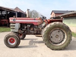 1968 Massey Ferguson MF 1130 oldtimer tractor te koop