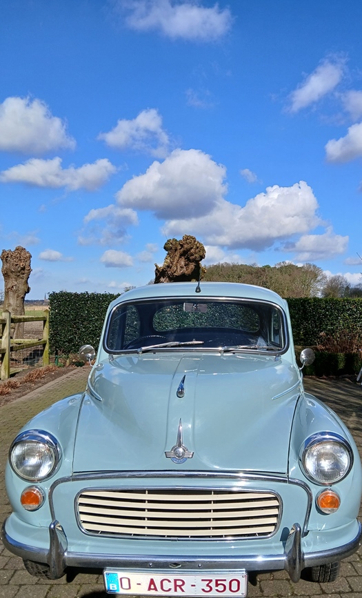 1965 Morris Minor oldtimer te koop