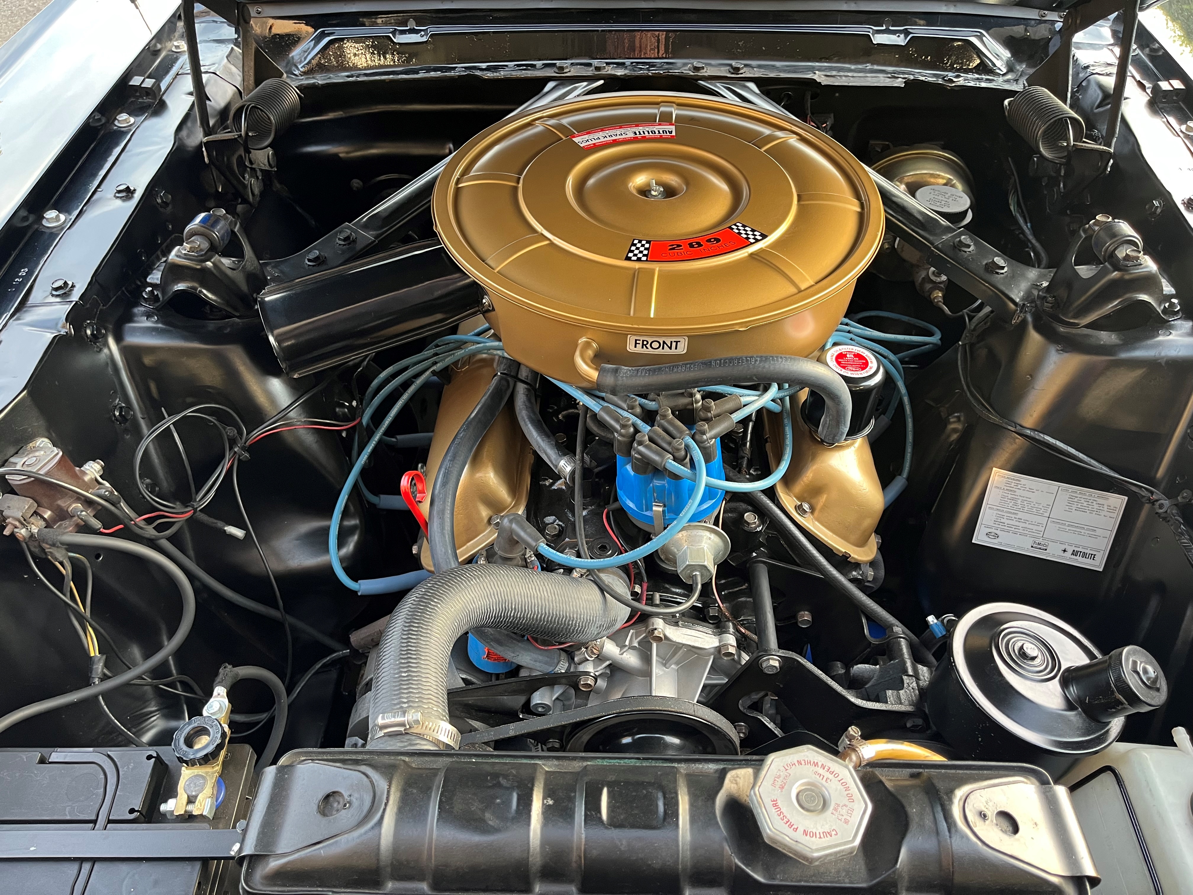 1965 Ford Mustang oldtimer te koop