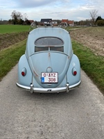 1956 Volkswagen Ovaal kever  oldtimer te koop