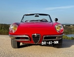 1967 Alfa Romeo Spider 1600 Duetto "Osso di Seppia" oldtimer te koop