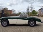 1959 Austin-Healey BN4 oldtimer te koop