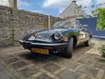 1989 Alfa Romeo Spider aerodynamica oldtimer te koop