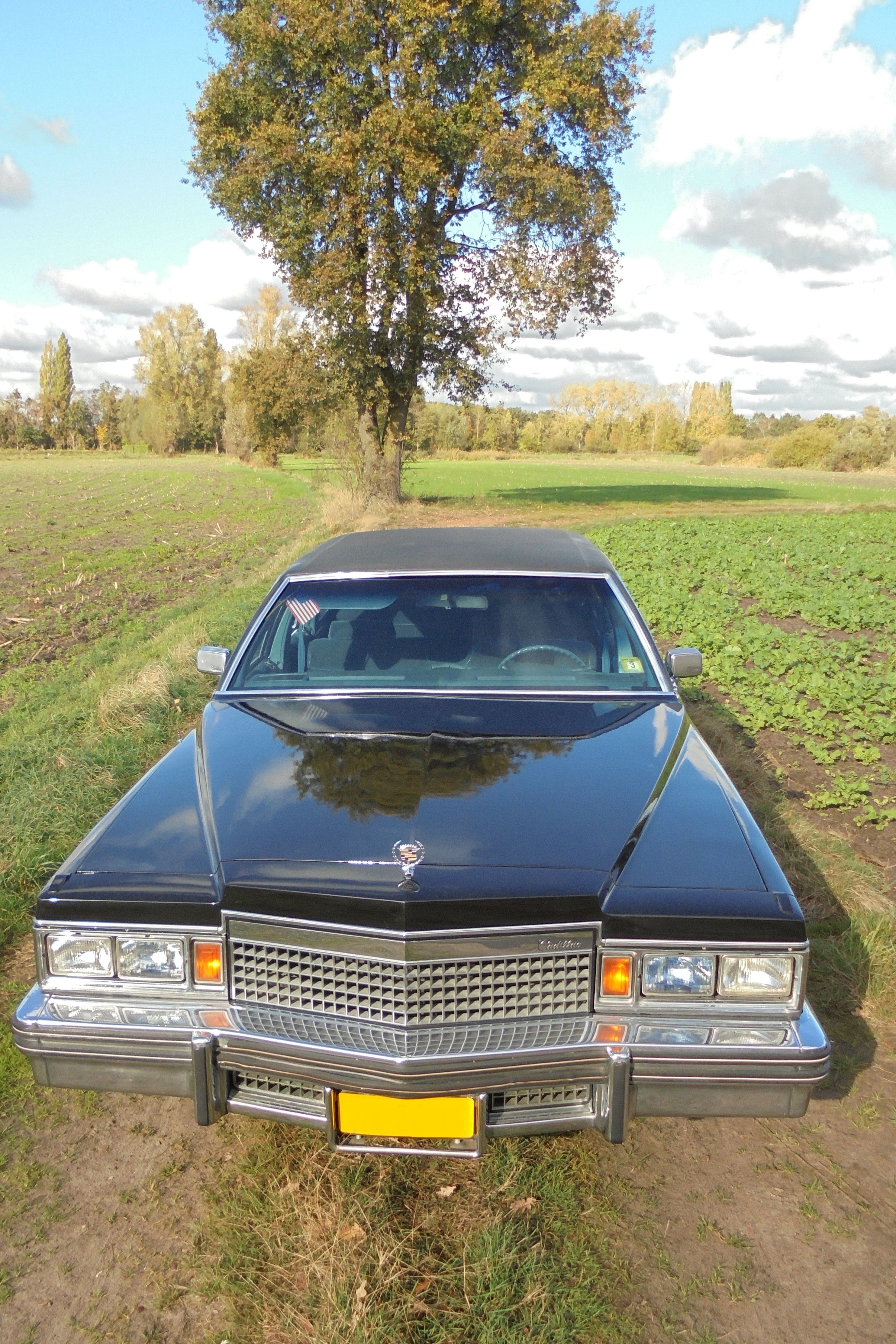 1979 Cadillac Fleetwood Limousine oldtimer te koop