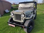 1956 Willys CJ3B oldtimer te koop