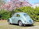 1957 Volkswagen kever ovaal oldtimer te koop