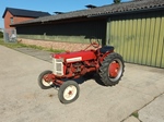 International Farmall Cub Lo-Boy oldtimer tractor te koop