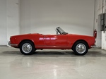 1966 Alfa Romeo Giulia Spider Veloce  oldtimer te koop