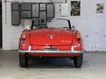 1966 Alfa Romeo Giulia Spider Veloce  oldtimer te koop