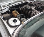 1979 BMW e12  oldtimer te koop