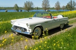 1956 Ford Thunderbird oldtimer te koop