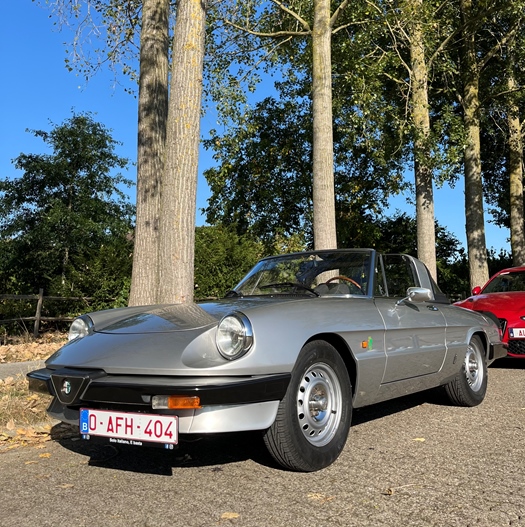 1983 Alfa Romeo Spider 3 2000 Aerodynamica  oldtimer te koop