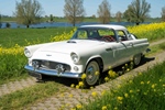 1956 Ford Thunderbird oldtimer te koop