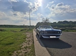 1969 Ford Mustang Convertible oldtimer te koop