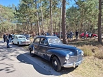 1956 Peugeot 203c oldtimer te koop