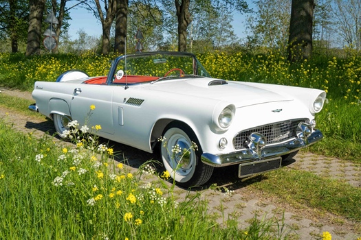 1956 Ford Thunderbird oldtimer te koop