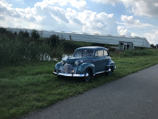 1952 Opel Olympia oldtimer te koop