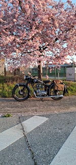 1953 BMW R25-2 oldtimer motorfiets te koop