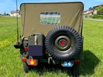 1950 Jeep M38 oldtimer te koop