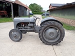 1953 Massey Ferguson TED20 oldtimer tractor te koop