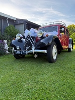 1952 Citroën Bl 11. Tracion Avant sportje oldtimer te koop