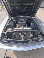 1968 Ford Mustang oldtimer te koop