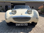 1960 Austin-Healey Sprite MKI-Frogeye oldtimer te koop