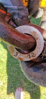Robuuste hijsketting met haak - WLL 5.3 T oldtimer te koop