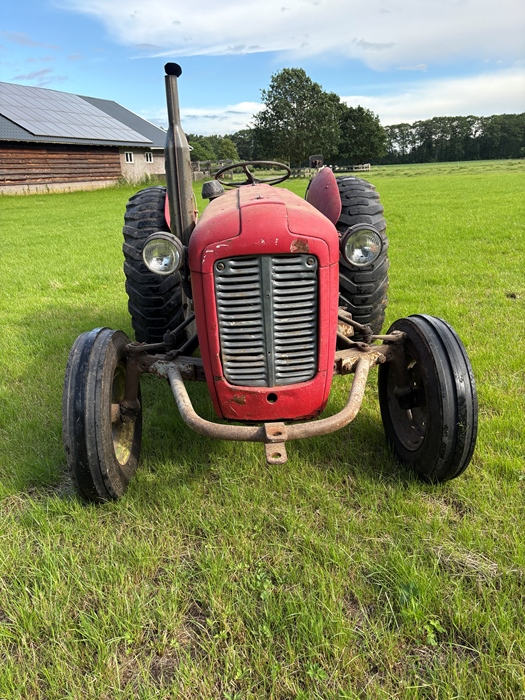 1959 Massey Ferguson MF 35 oldtimer tractor te koop