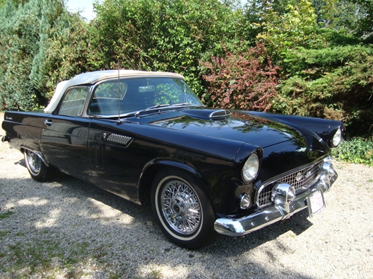 1956 Ford Thunderbird oldtimer te koop