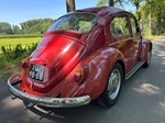 1967 Volkswagen Kever 1500 -NO RESERVE- oldtimer te koop