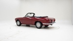 1966 Alfa Romeo 1600 Giulia GTC oldtimer te koop