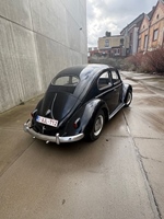 1956 Volkswagen Kever oldtimer te koop