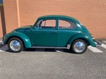 1965 Volkswagen Beetle 6v Saxomat oldtimer te koop