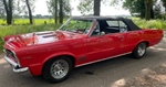 1965 Pontiac Le Mans oldtimer te koop