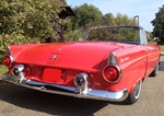 1955 Ford Thunderbird oldtimer te koop