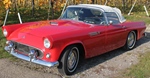1955 Ford Thunderbird oldtimer te koop