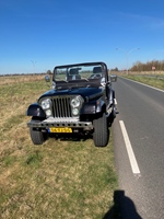 1979 Jeep CJ5 oldtimer te koop