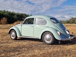 1966 Volkswagen Kever oldtimer te koop