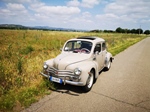 1956 Renault 4 CV oldtimer te koop